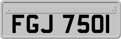 FGJ7501