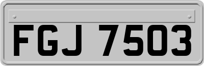 FGJ7503