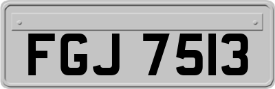 FGJ7513