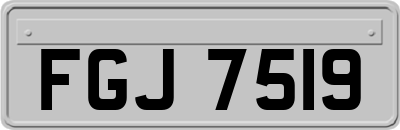 FGJ7519