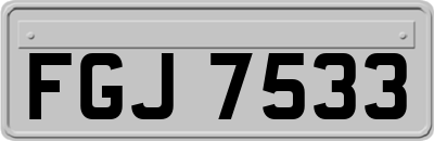 FGJ7533