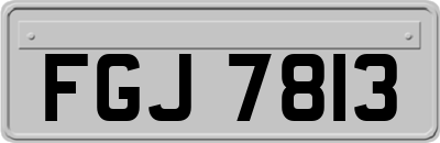 FGJ7813