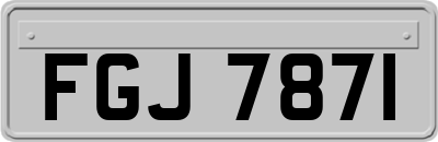 FGJ7871