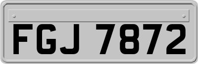 FGJ7872