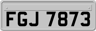 FGJ7873