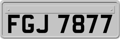FGJ7877