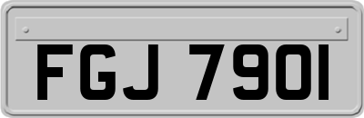 FGJ7901