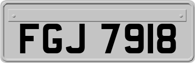 FGJ7918