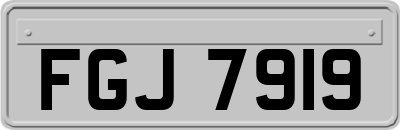 FGJ7919