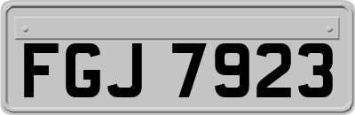 FGJ7923