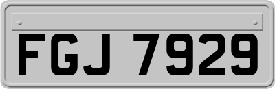 FGJ7929