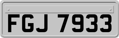 FGJ7933