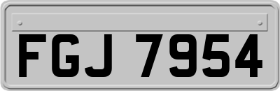 FGJ7954