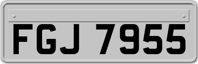 FGJ7955