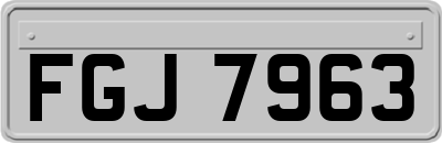 FGJ7963