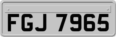 FGJ7965