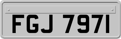 FGJ7971