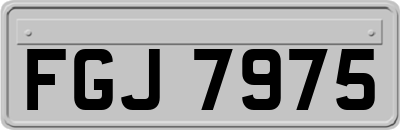 FGJ7975