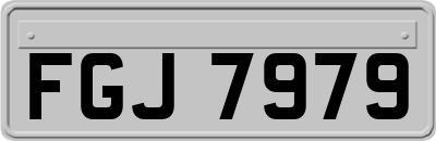 FGJ7979