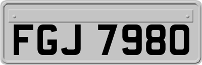 FGJ7980