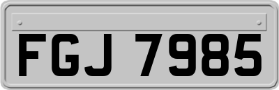 FGJ7985