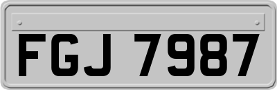 FGJ7987