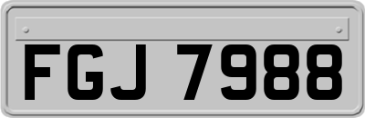 FGJ7988