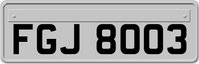 FGJ8003