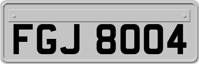 FGJ8004