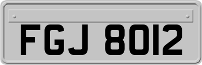 FGJ8012