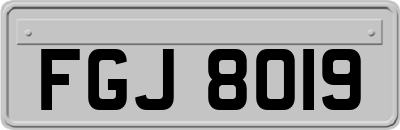 FGJ8019