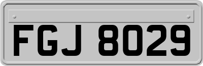 FGJ8029