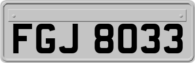 FGJ8033
