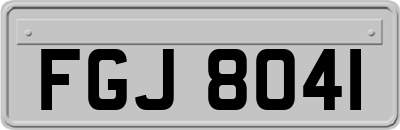 FGJ8041