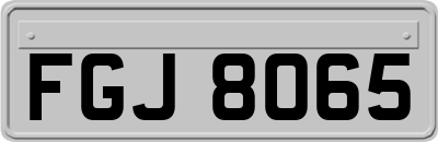 FGJ8065