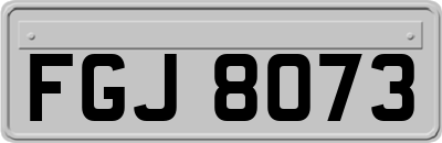 FGJ8073