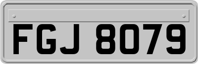 FGJ8079