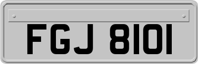 FGJ8101