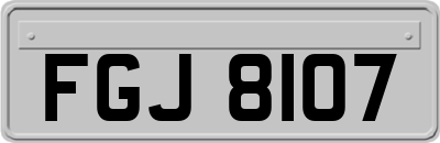 FGJ8107