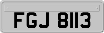 FGJ8113