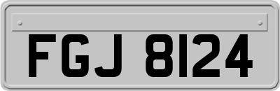 FGJ8124