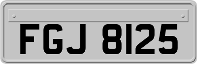 FGJ8125