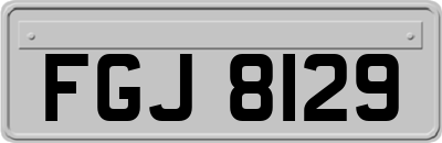 FGJ8129