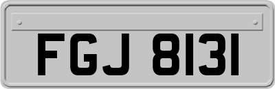 FGJ8131