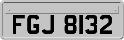 FGJ8132