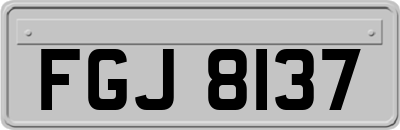 FGJ8137