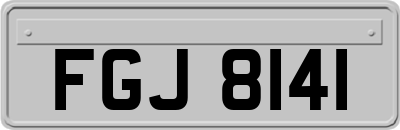 FGJ8141
