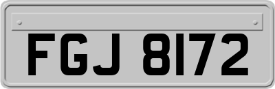 FGJ8172