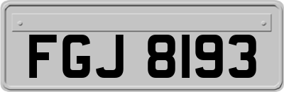 FGJ8193