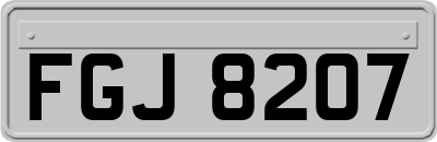 FGJ8207